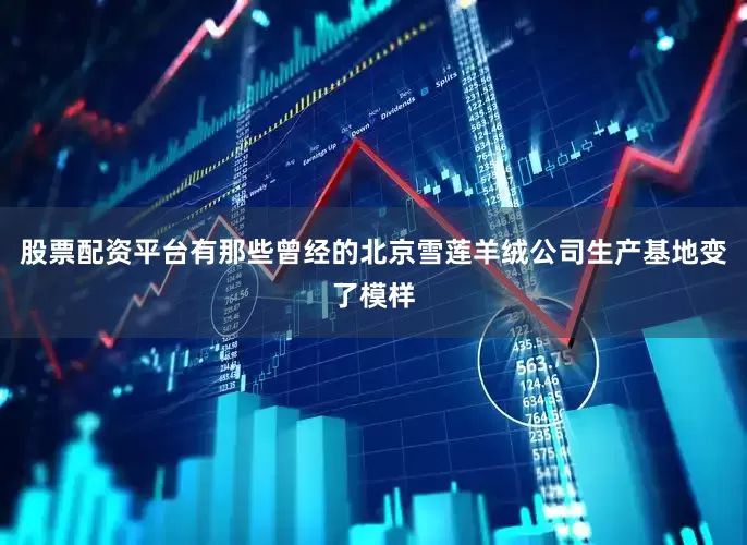 股票配资平台有那些曾经的北京雪莲羊绒公司生产基地变了模样