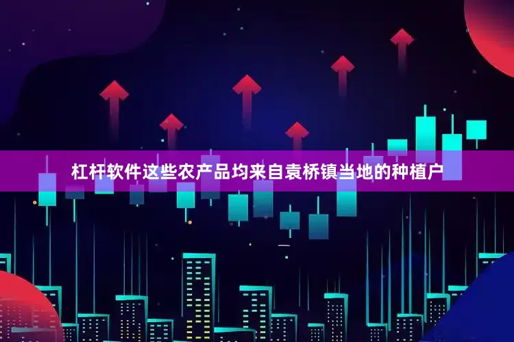 杠杆软件这些农产品均来自袁桥镇当地的种植户