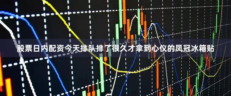股票日内配资今天排队排了很久才拿到心仪的凤冠冰箱贴